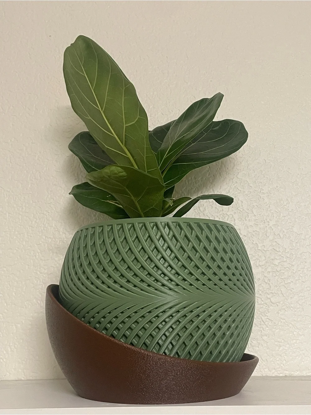 3D printed Green Textured Planter with Brown Saucer